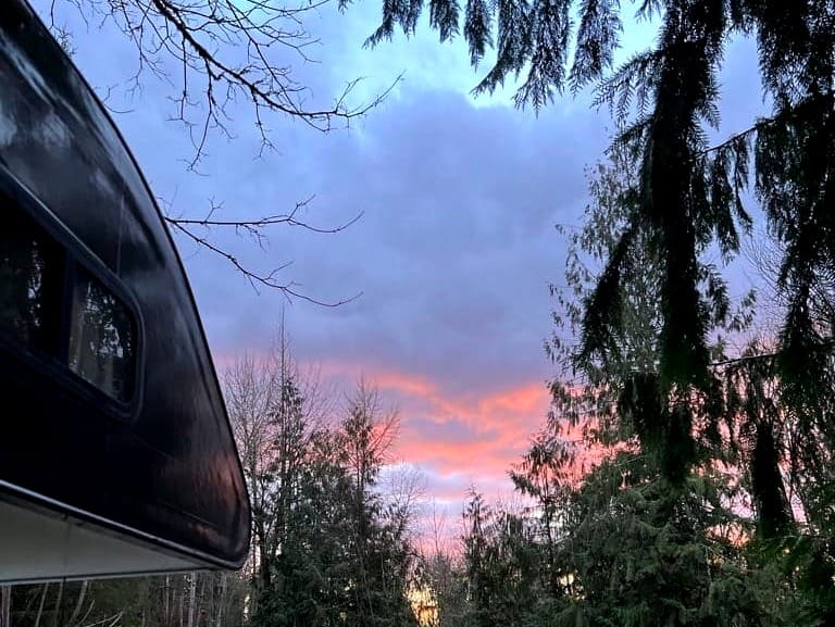 A sky that is light blue at the top, with white clouds in the middle, and pink underneath, over tall green pines.