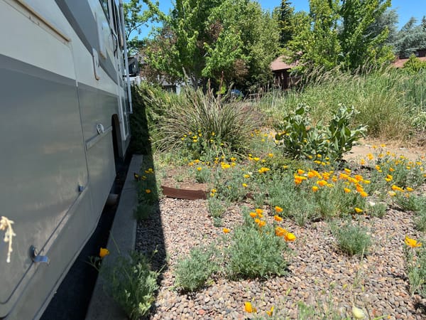 Questions I Never Asked in My Whole Life Until I Got an RV