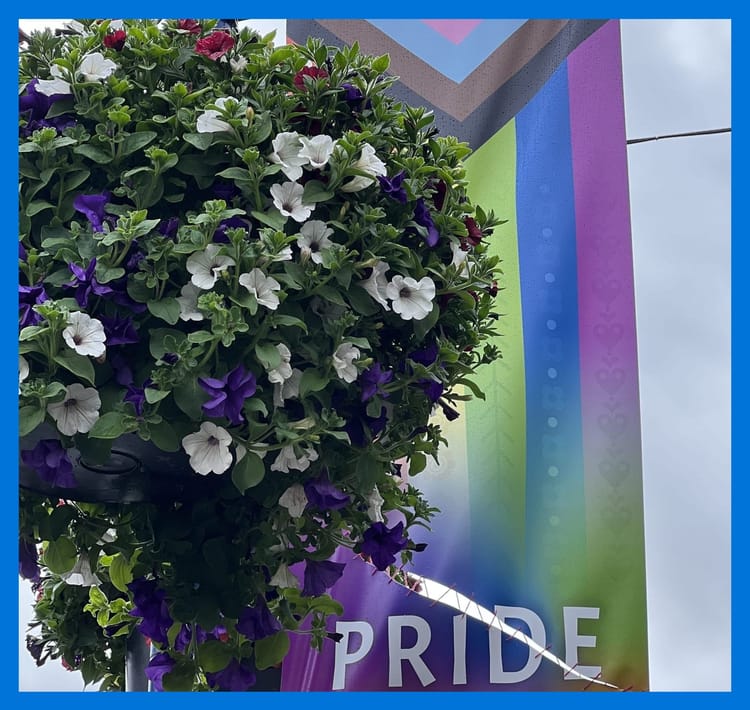 A hanging basket of white and purple flowers next to a rainbow flag with a stitched-together rip through the word “Pride.”