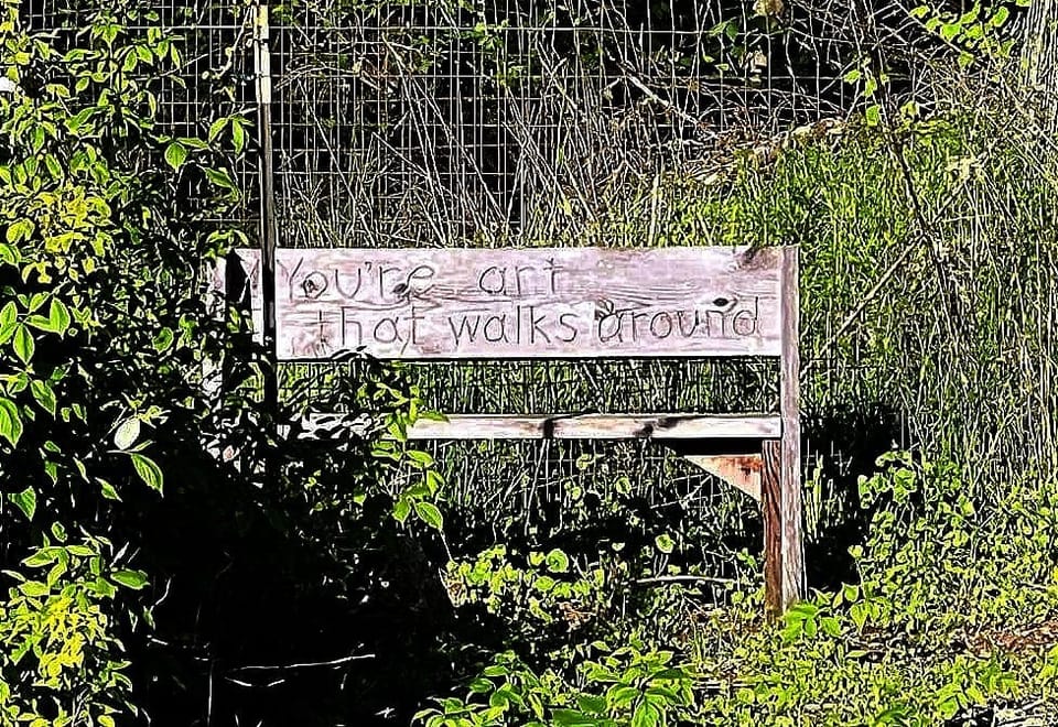 A wooden bench sitting among many green leafy plants, with “You’re art that walks around” carved into the backrest.