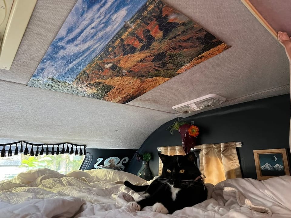 A puzzle depicting rock canyons below a blue clouded sky on the ceiling of an RV. Below it sits a cat on white blankets.